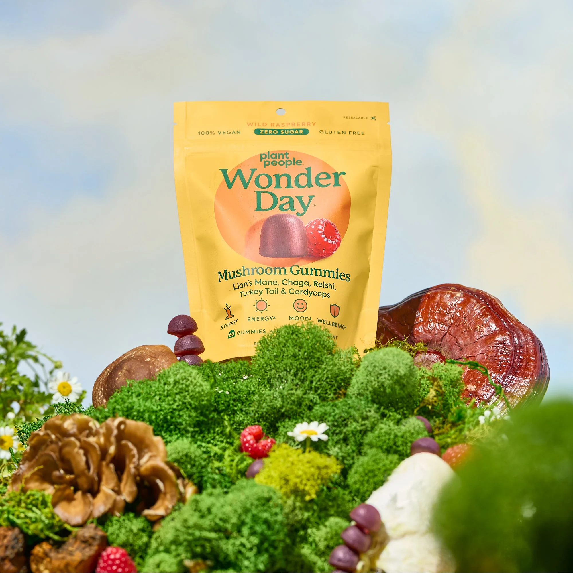 WonderDay - Super Mushroom Gummies - Image 4