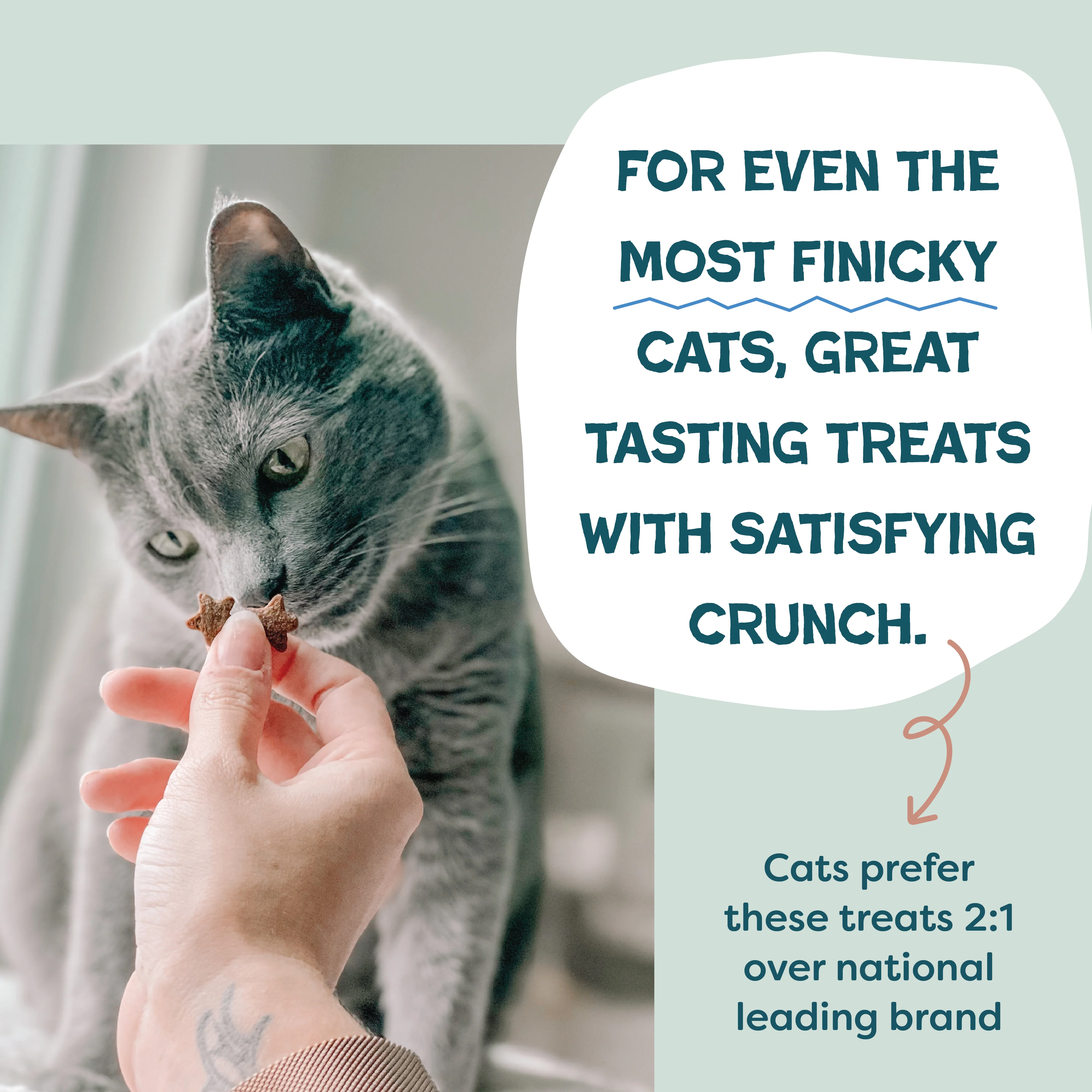 Yam Good Salmon Crunchy Cat Treats - Image 4