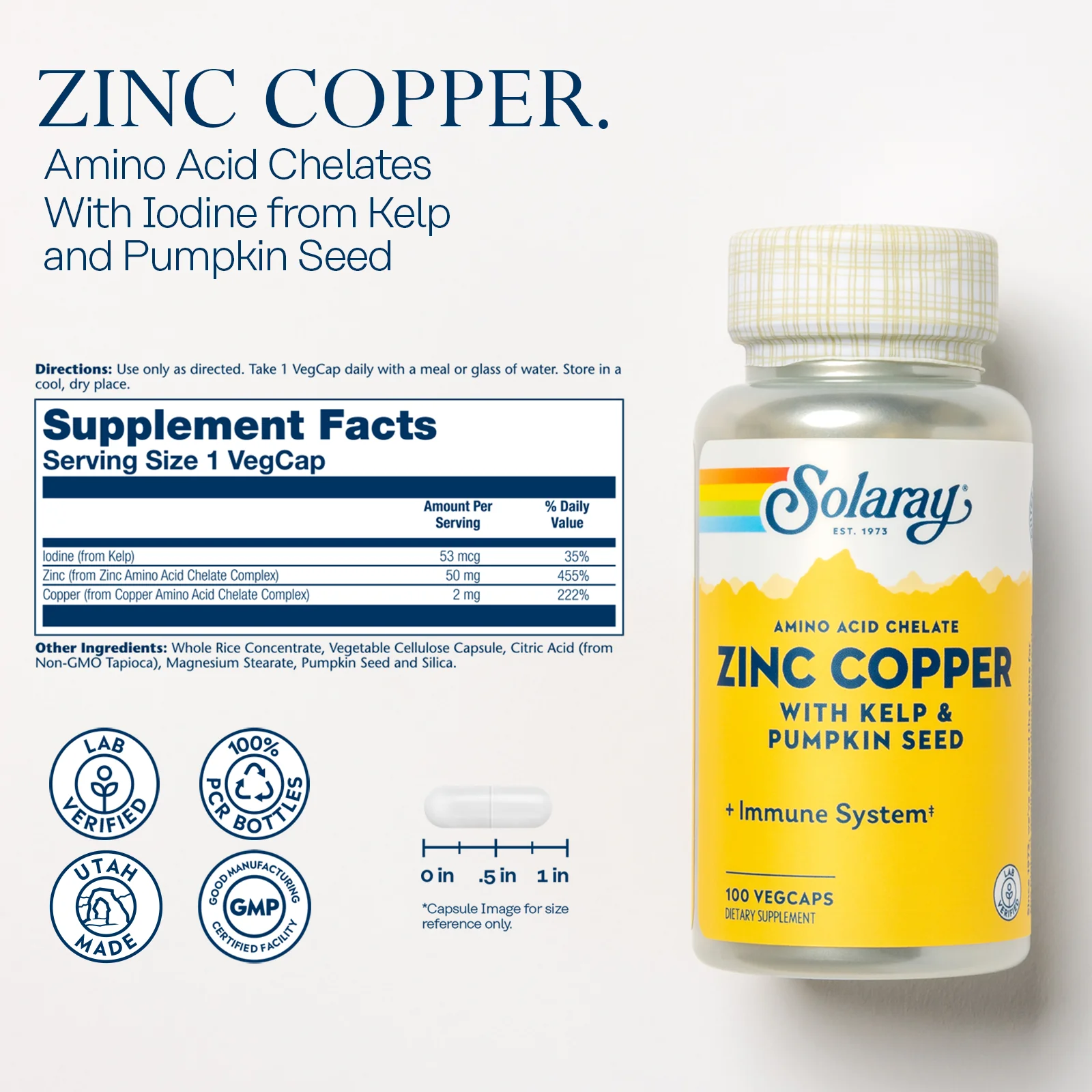 Zinc Copper Amino Acid Chelate with Kelp & Pumpkin Seed - Image 2